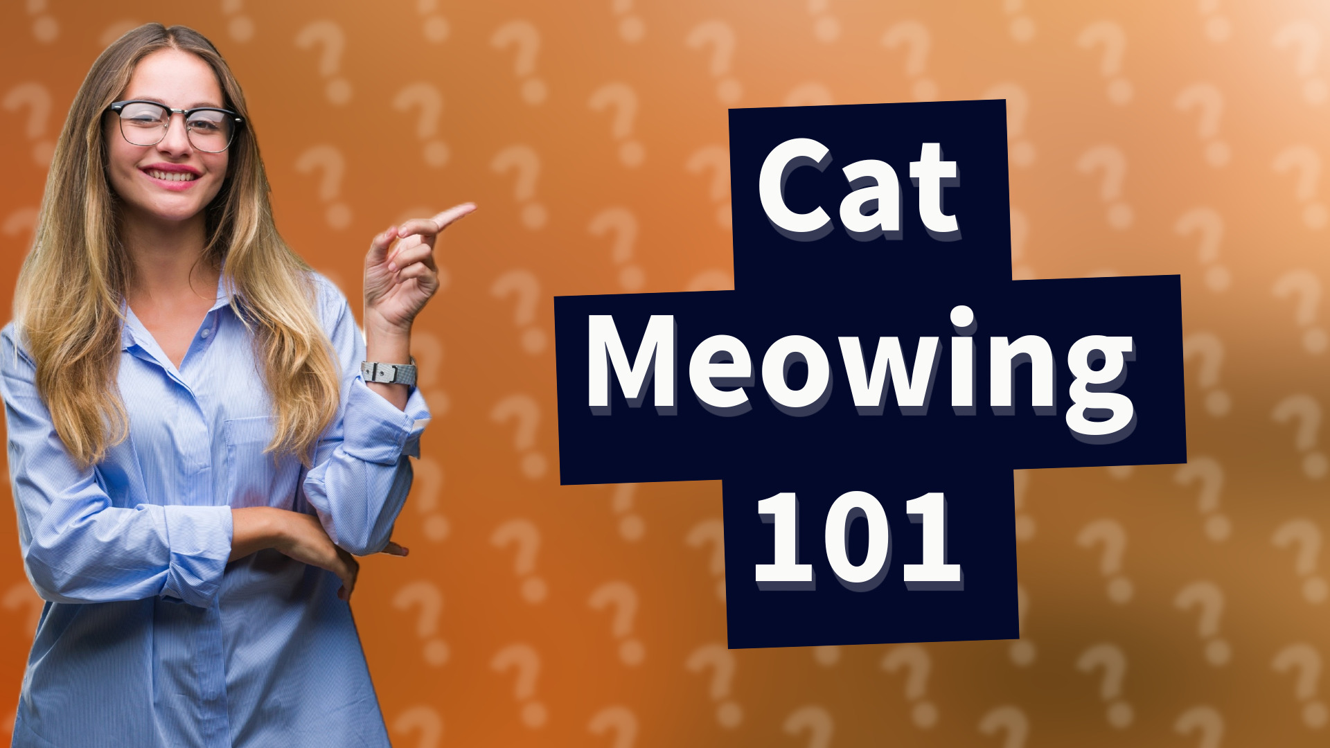 Cat Meowing 101
