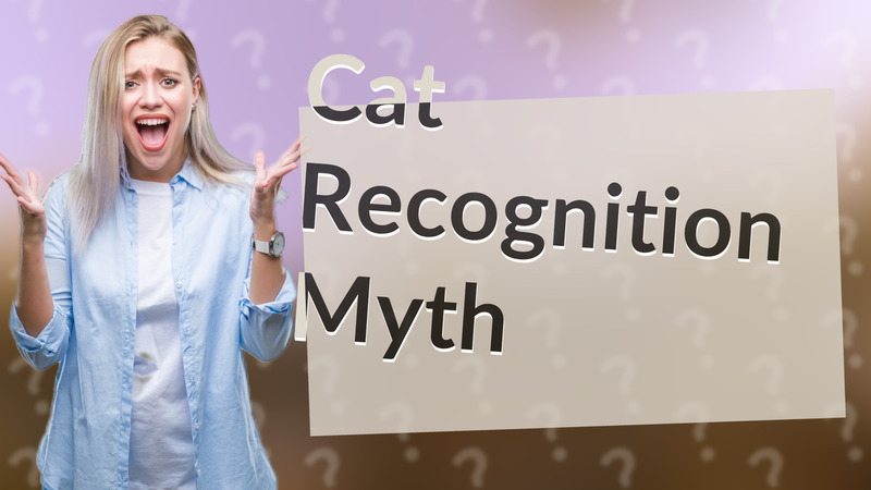 Cat Recognition Myth