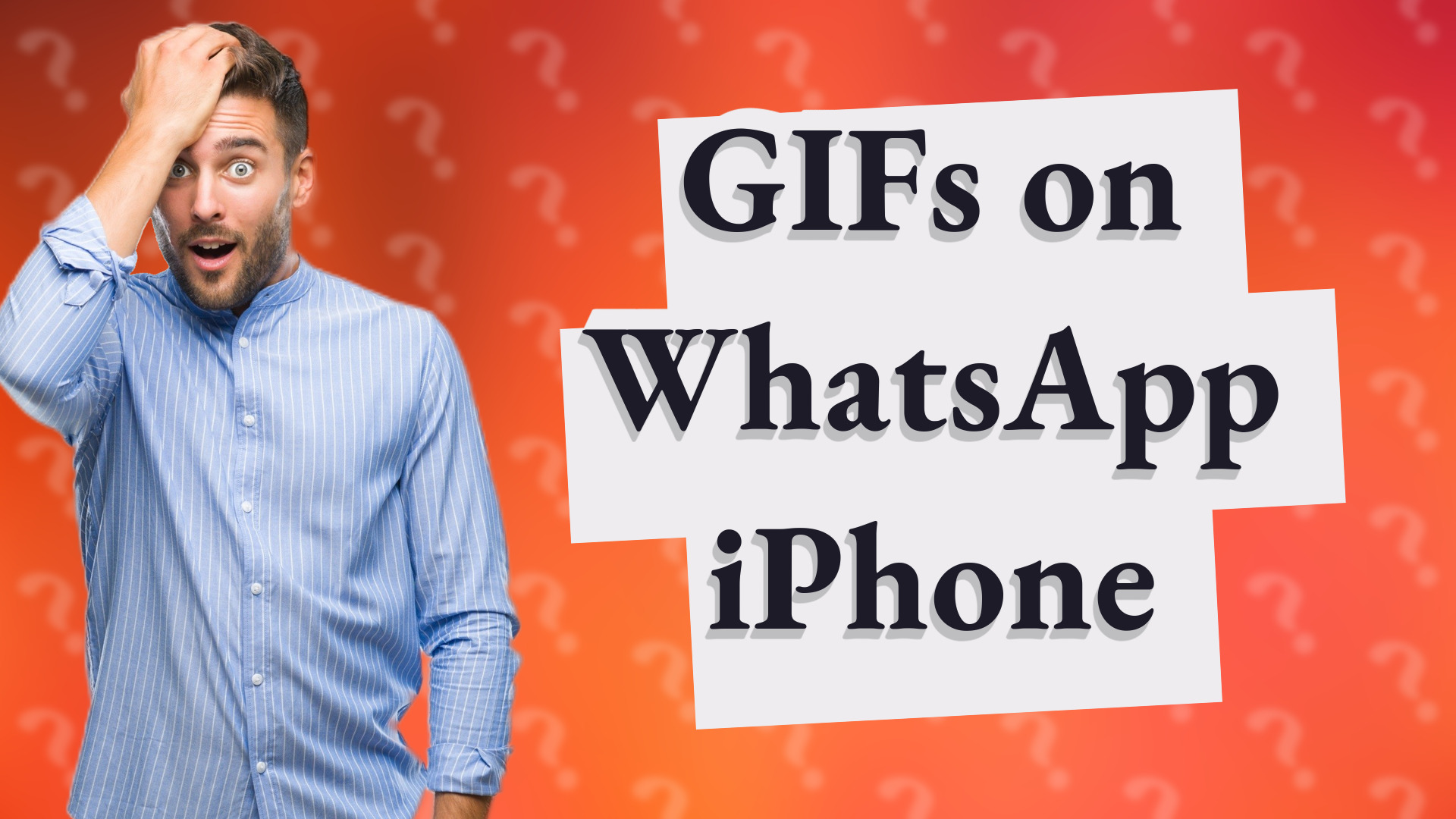 GIFs on WhatsApp iPhone