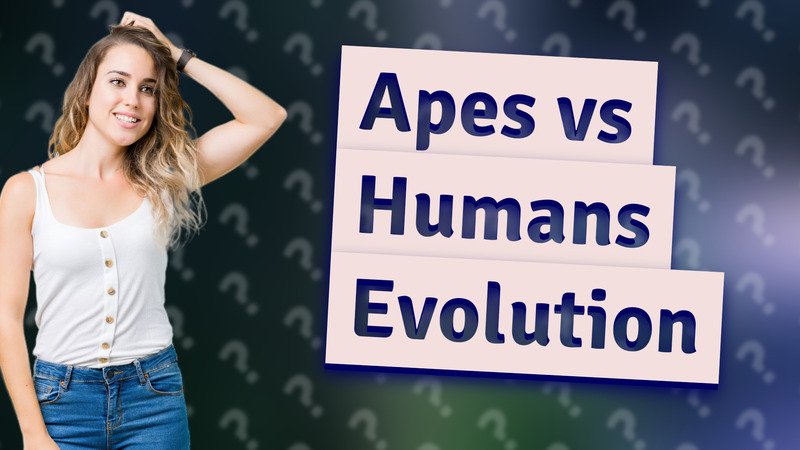 Apes vs Humans Evolution