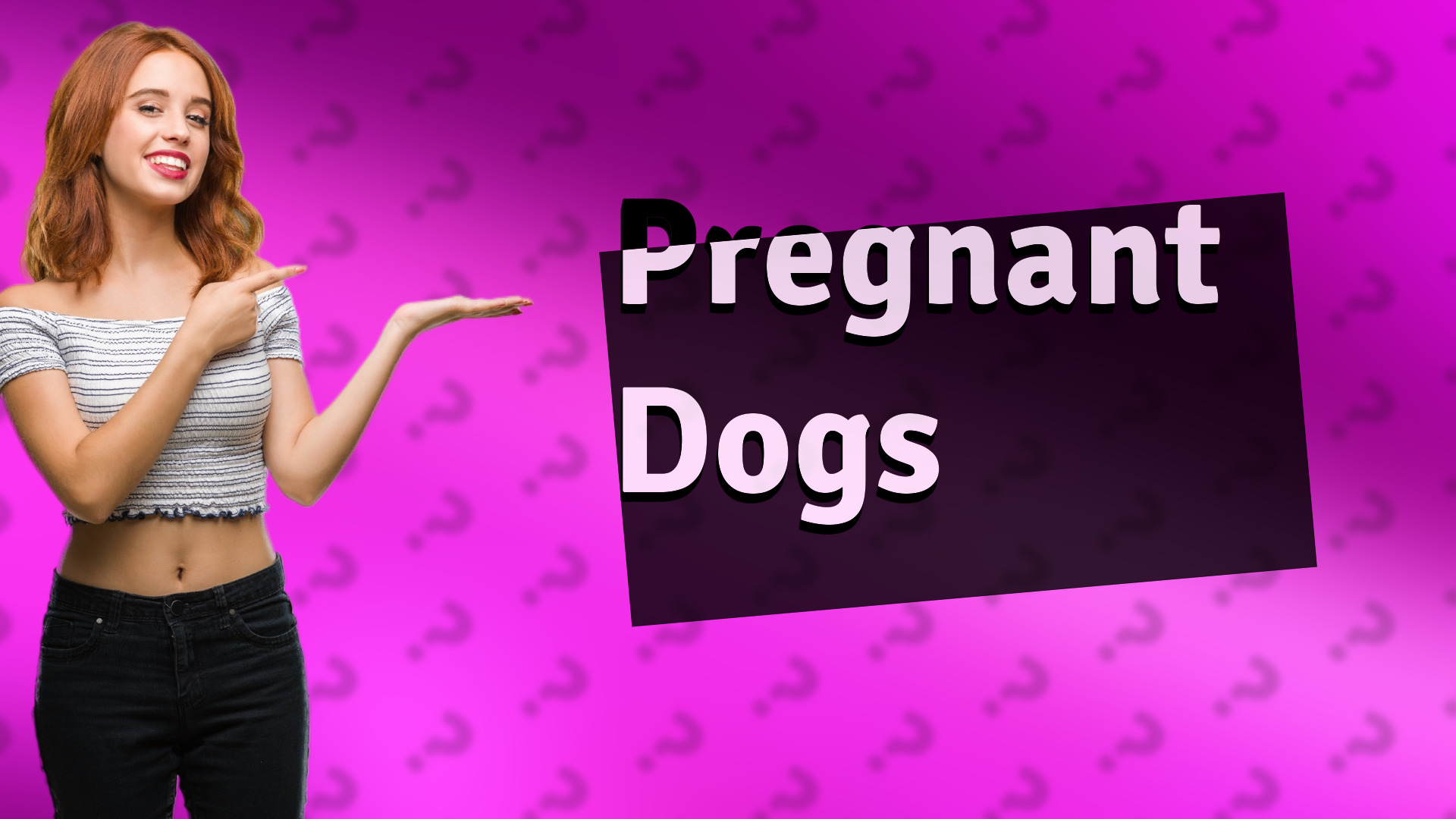 Pregnant Dogs