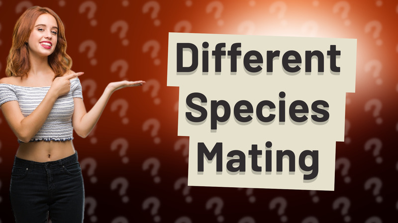 Different Species Mating