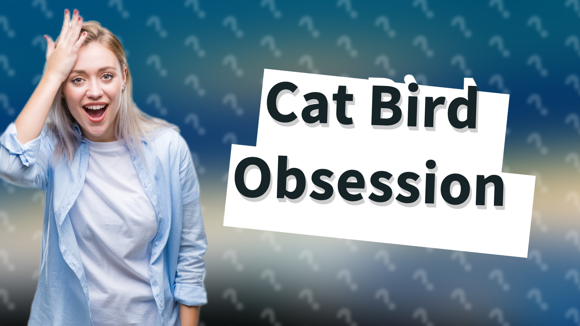 Cat Bird Obsession