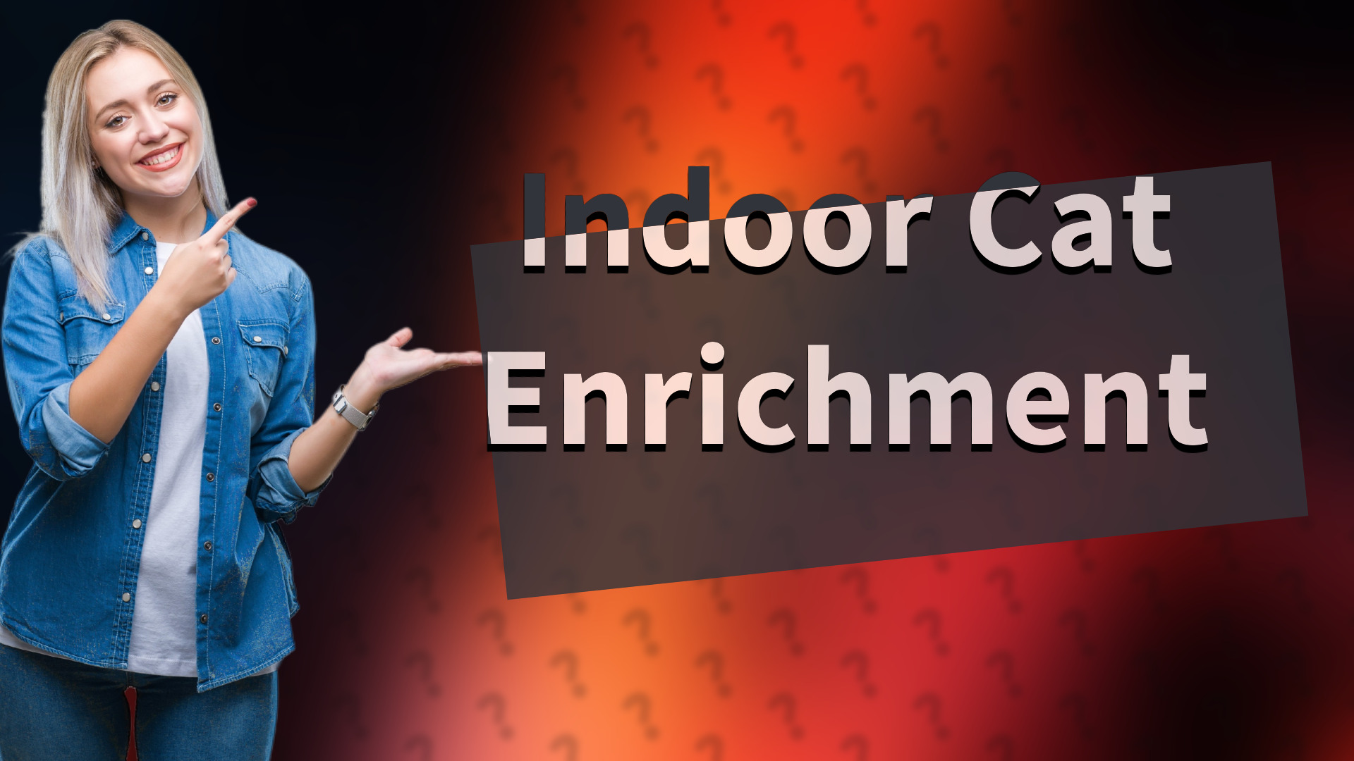 Indoor Cat Enrichment