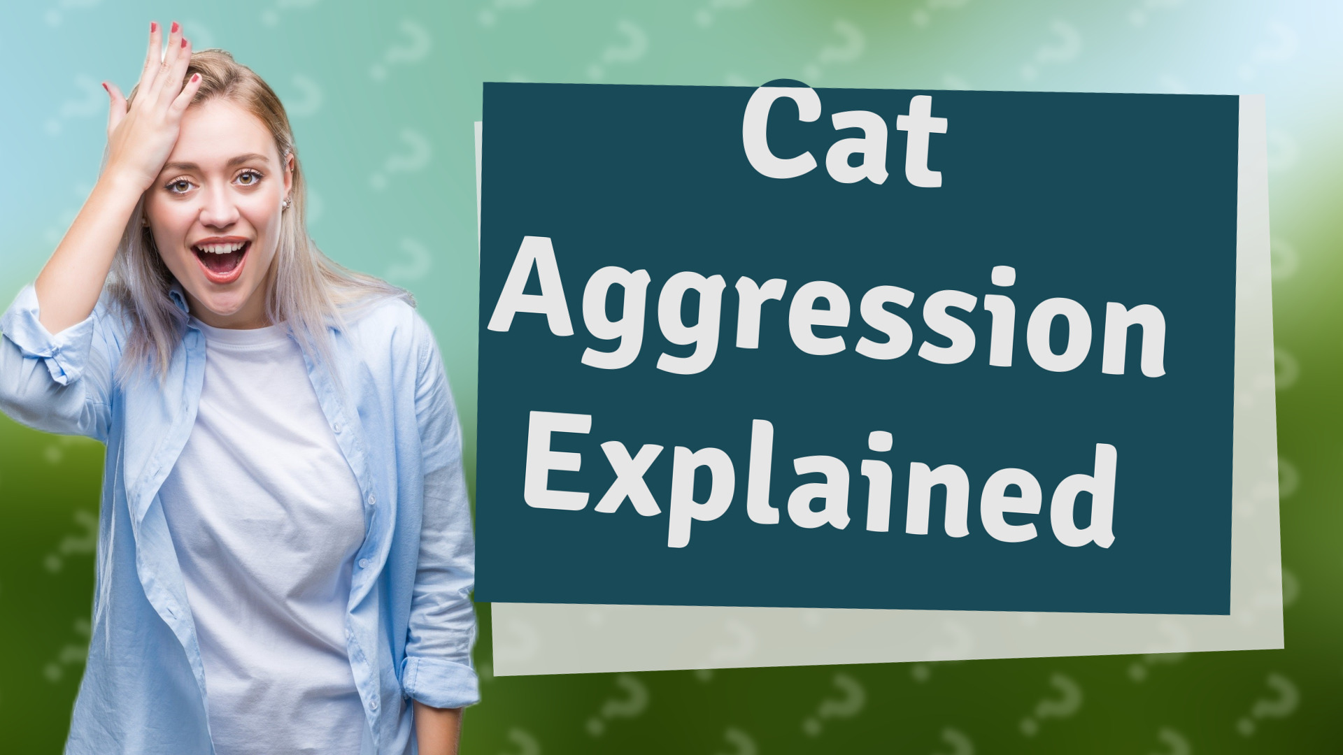 Cat Aggression Explained