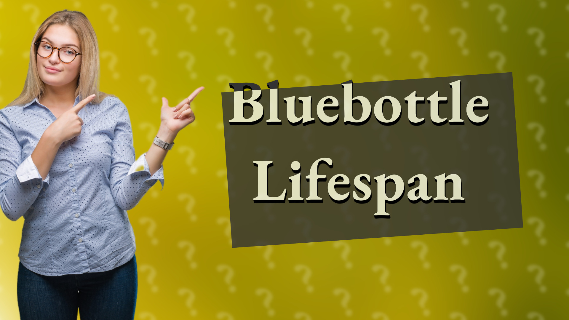 Bluebottle Lifespan