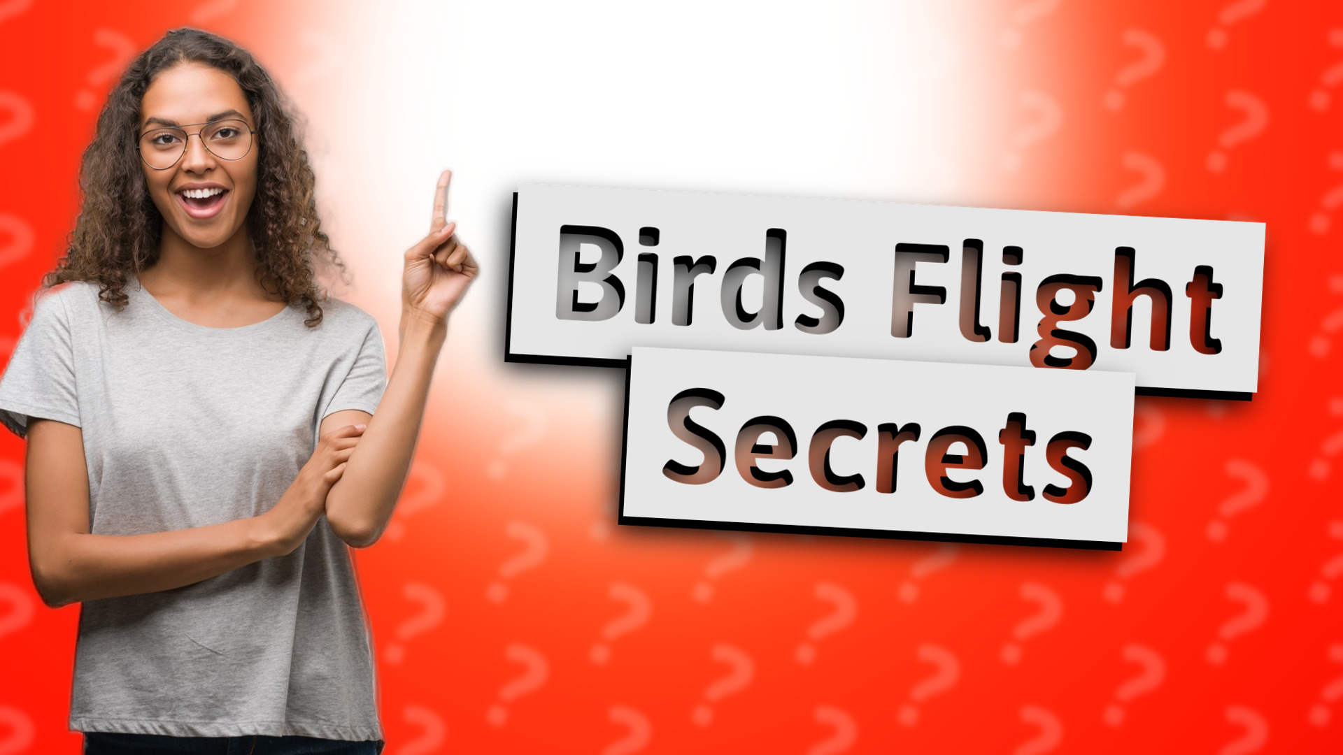 Birds Flight Secrets