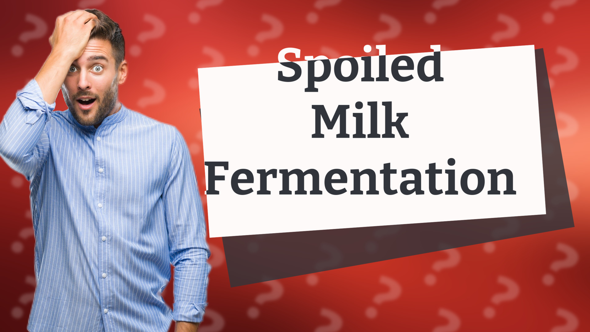 Spoiled Milk Fermentation