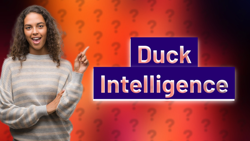 Duck Intelligence