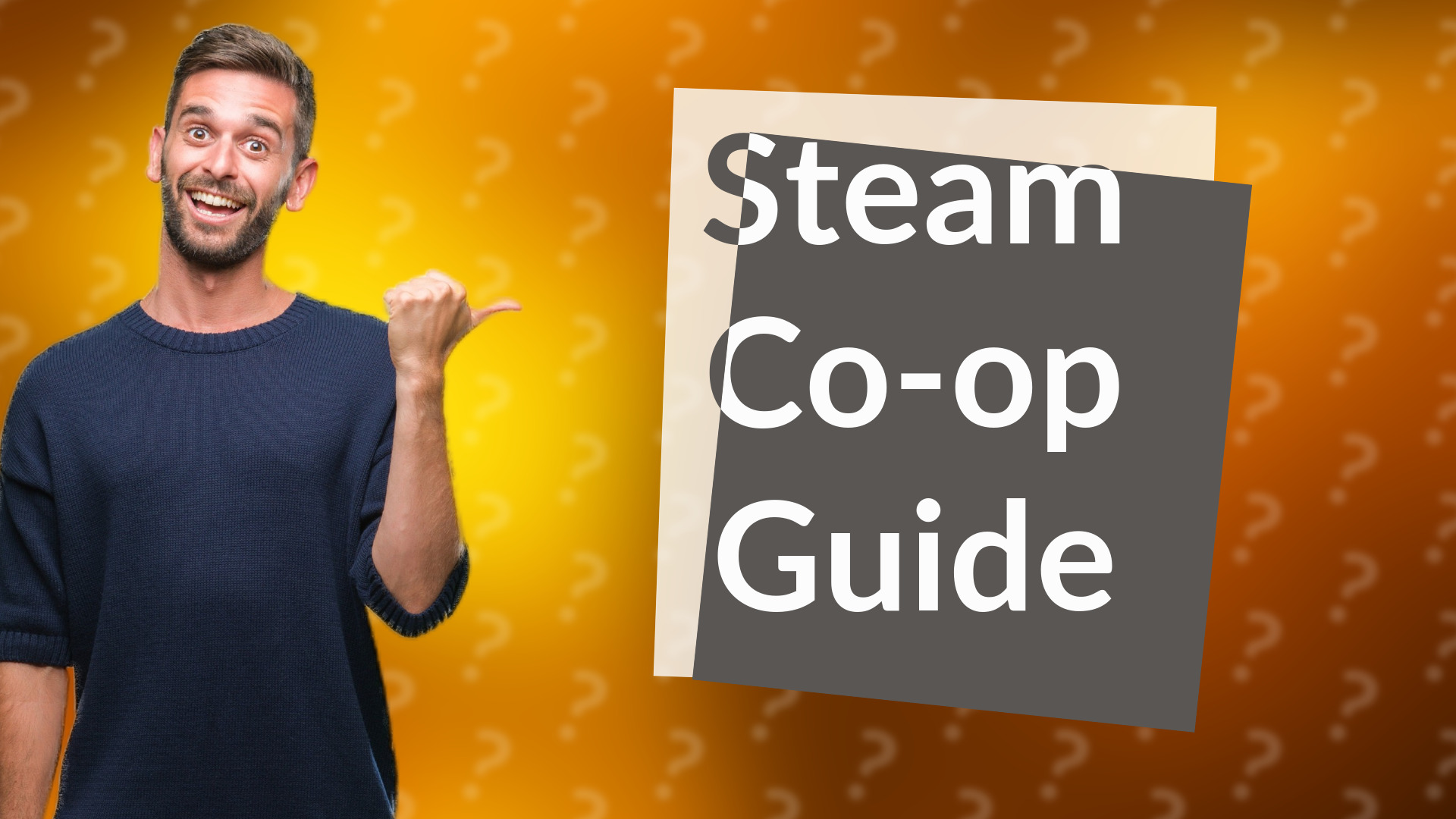 Steam Co-op Guide