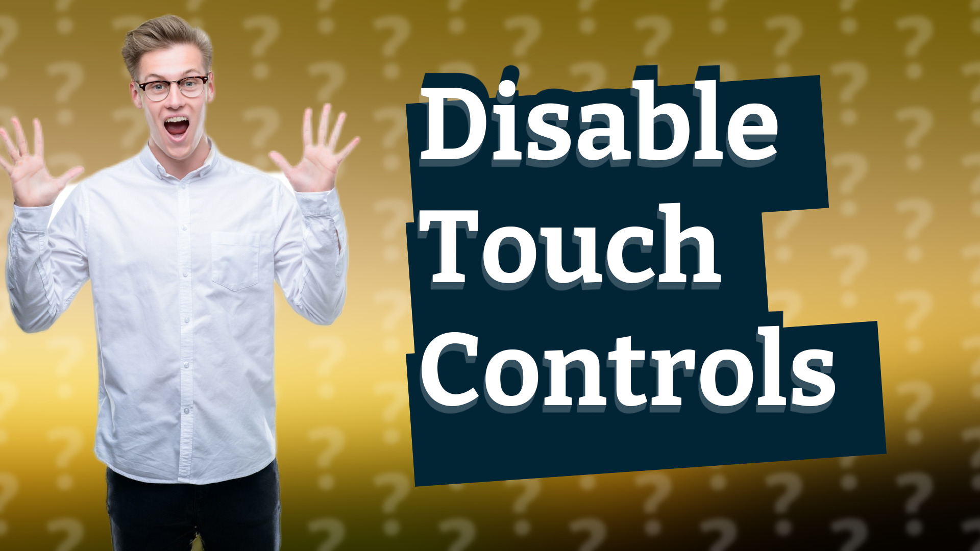Disable Touch Controls