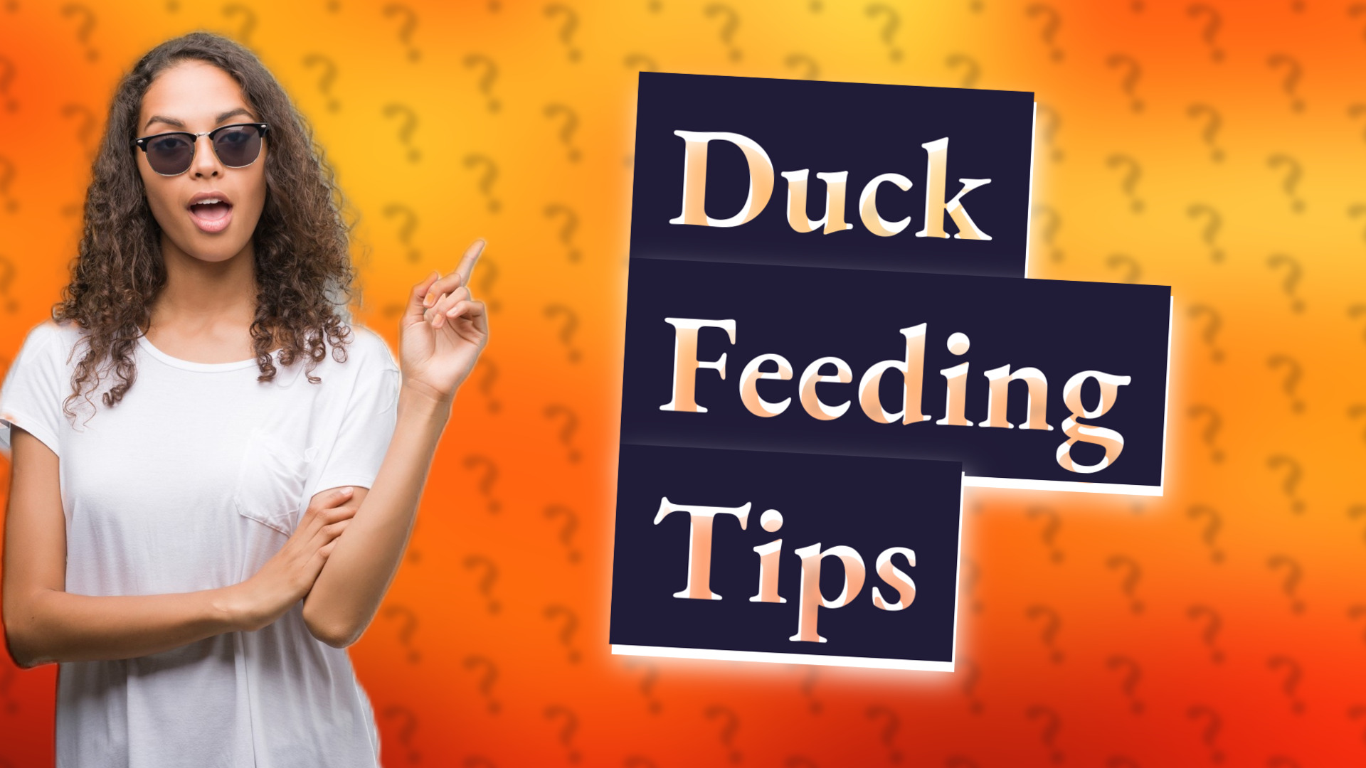 Duck Feeding Tips