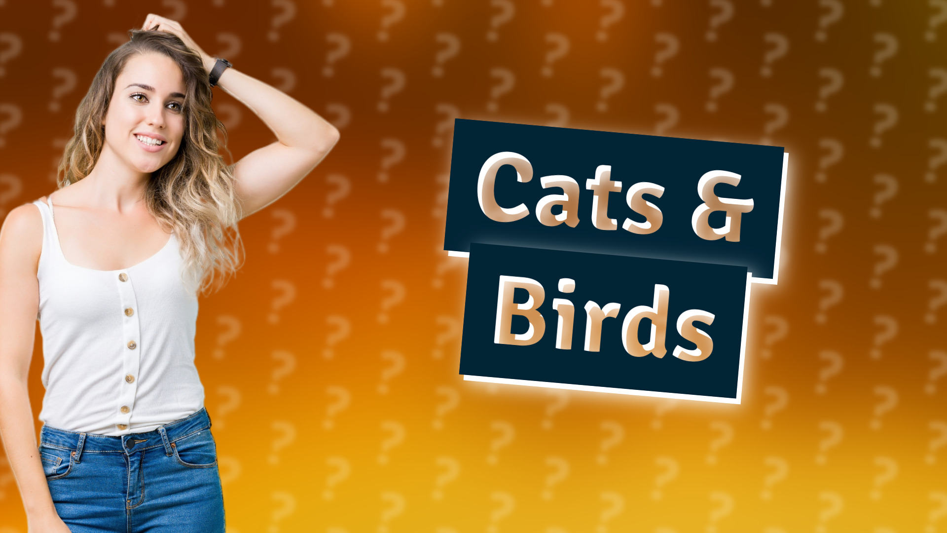 Cats & Birds