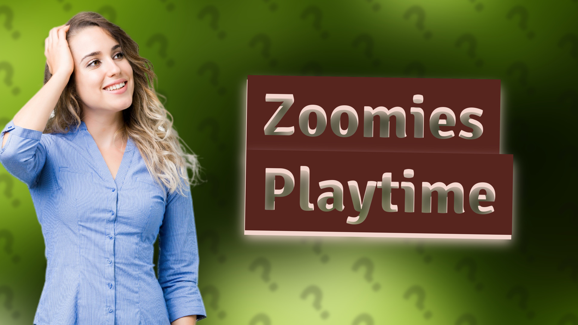 Zoomies Playtime