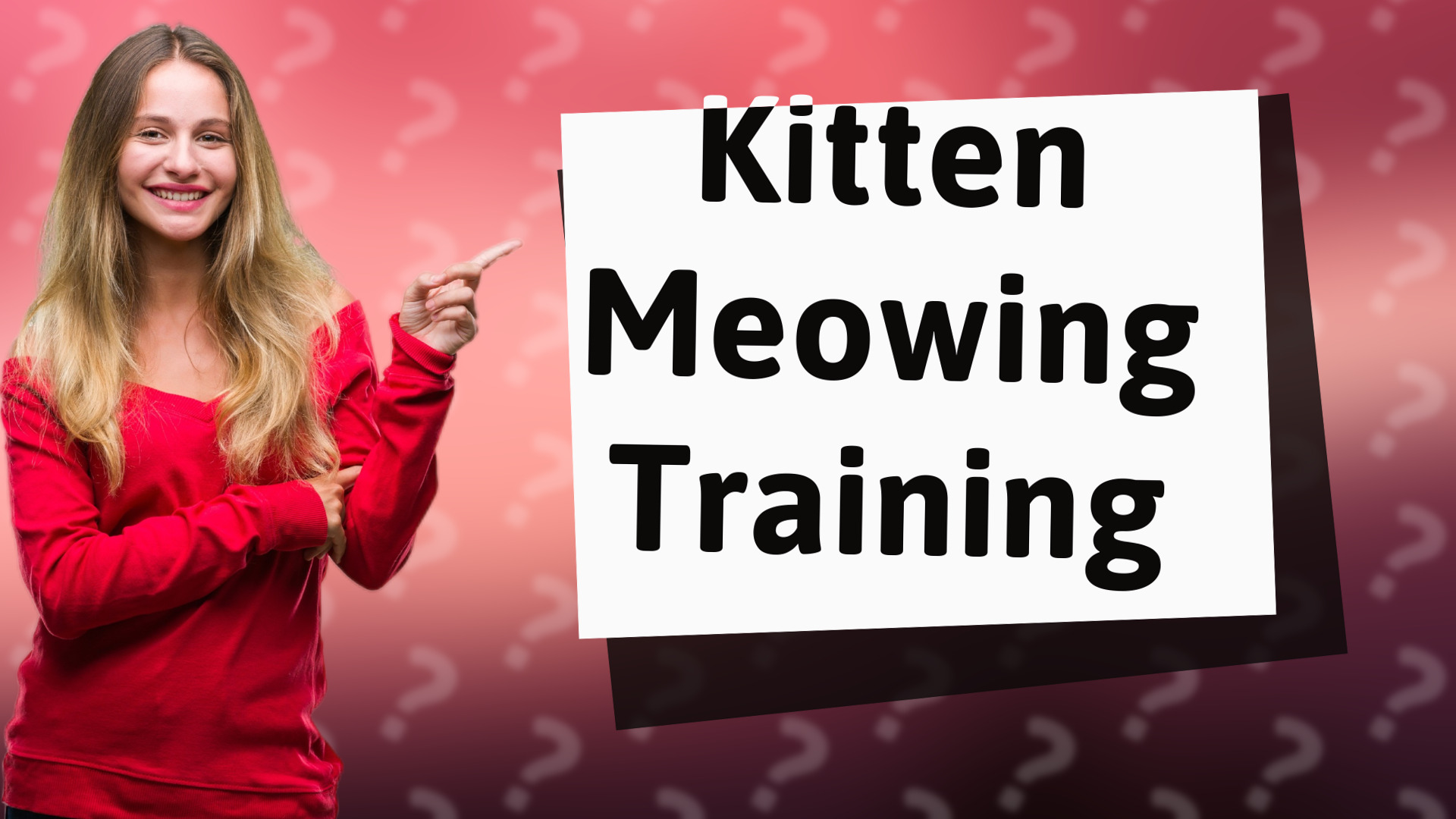 Kitten Meowing Training