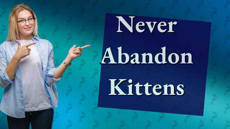 Never Abandon Kittens