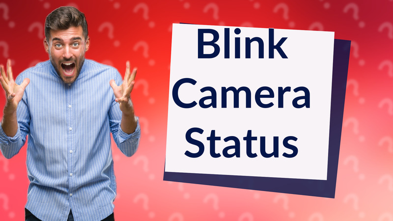 Blink Camera Status