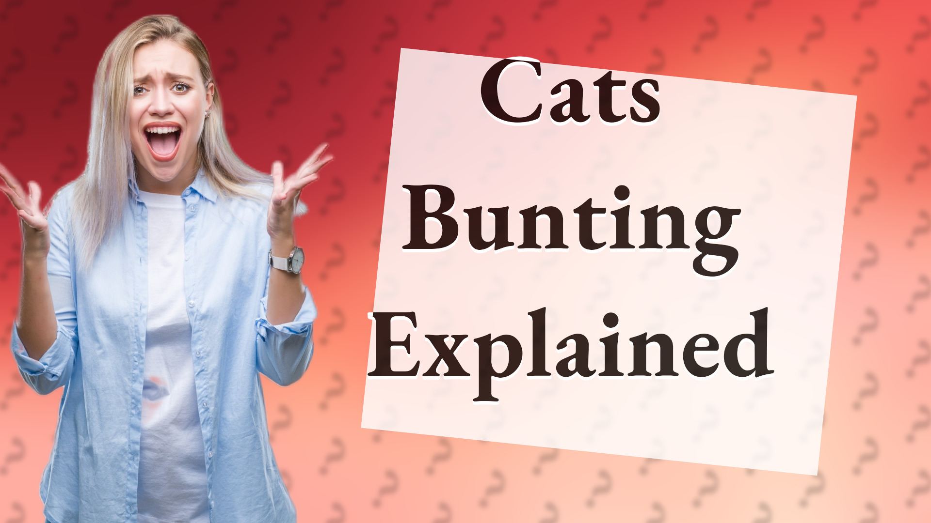 Cats Bunting Explained