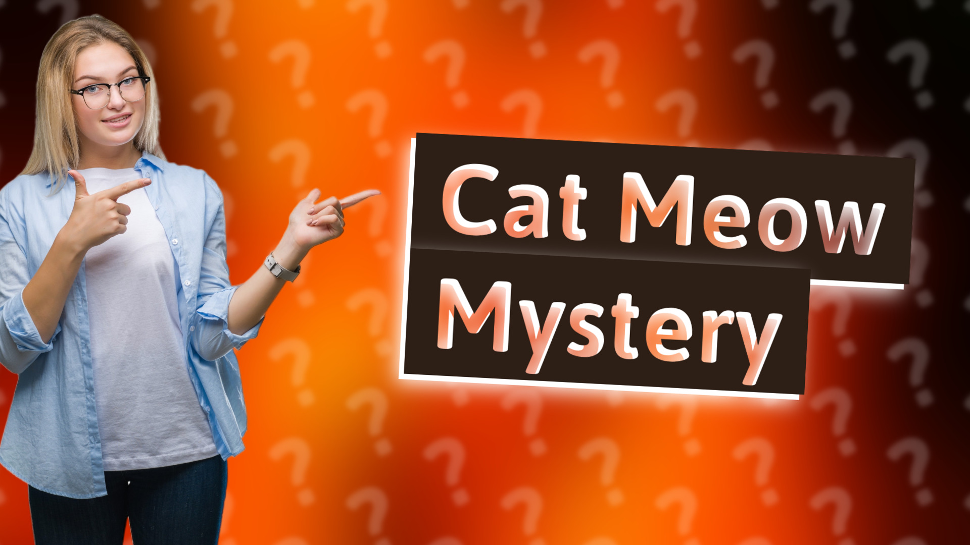 Cat Meow Mystery