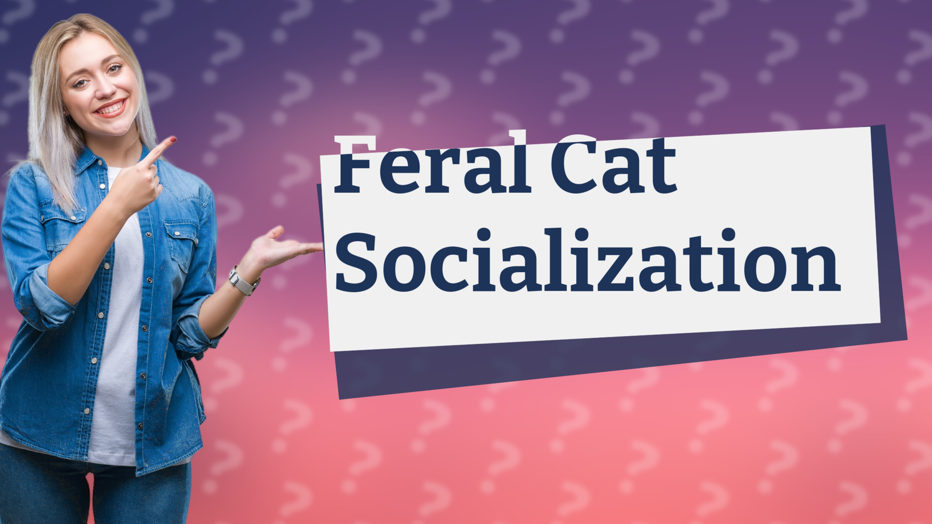 Feral Cat Socialization