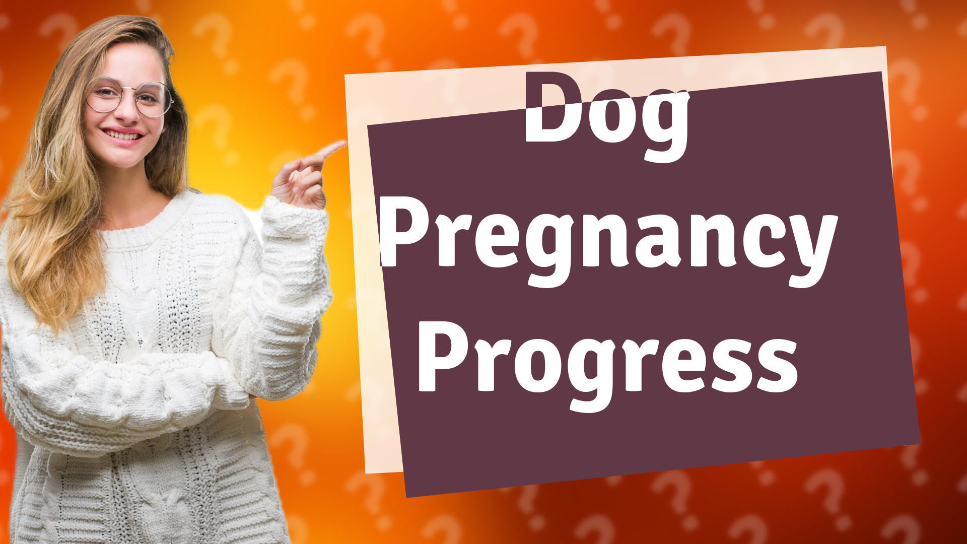 Dog Pregnancy Progress