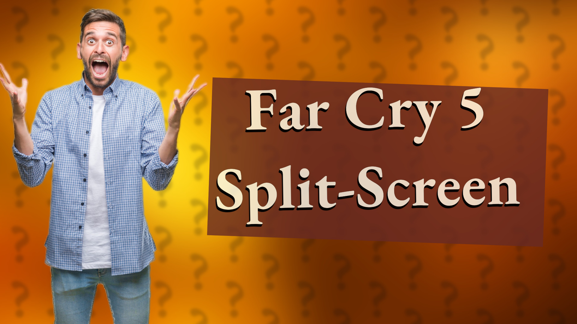 Far Cry 5 Split-Screen