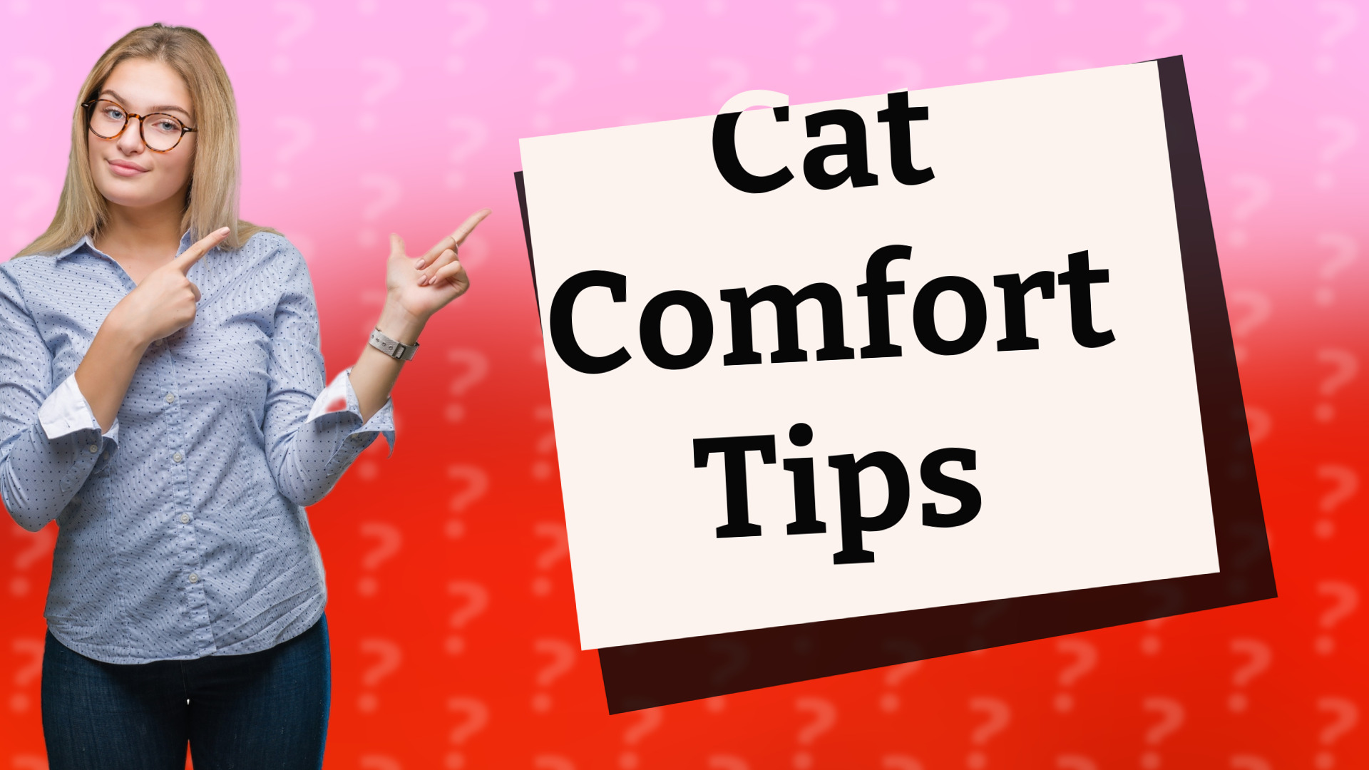 Cat Comfort Tips
