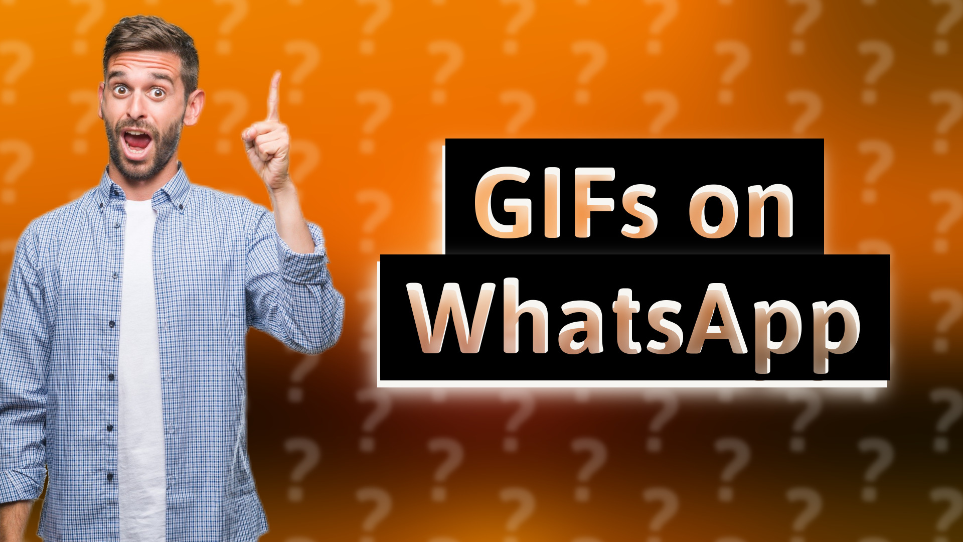 GIFs on WhatsApp