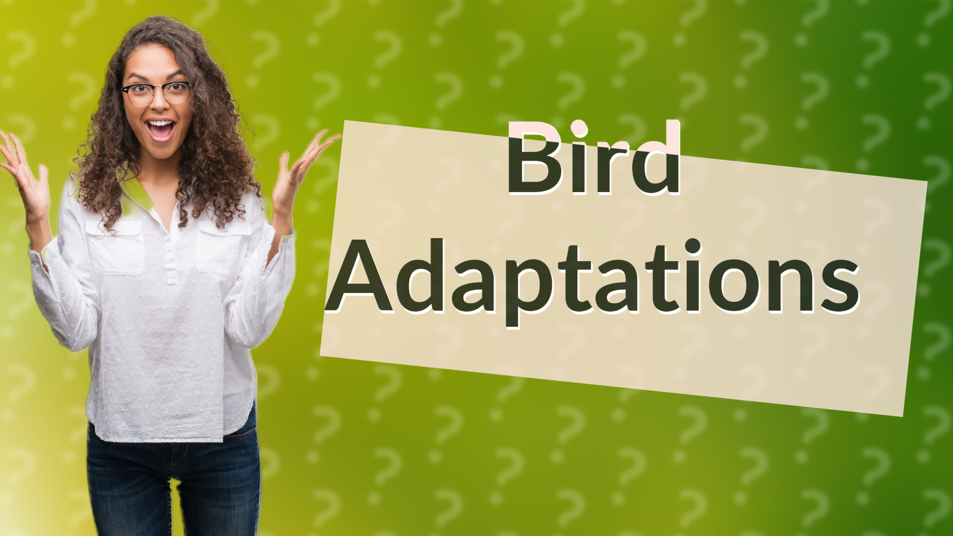 Bird Adaptations