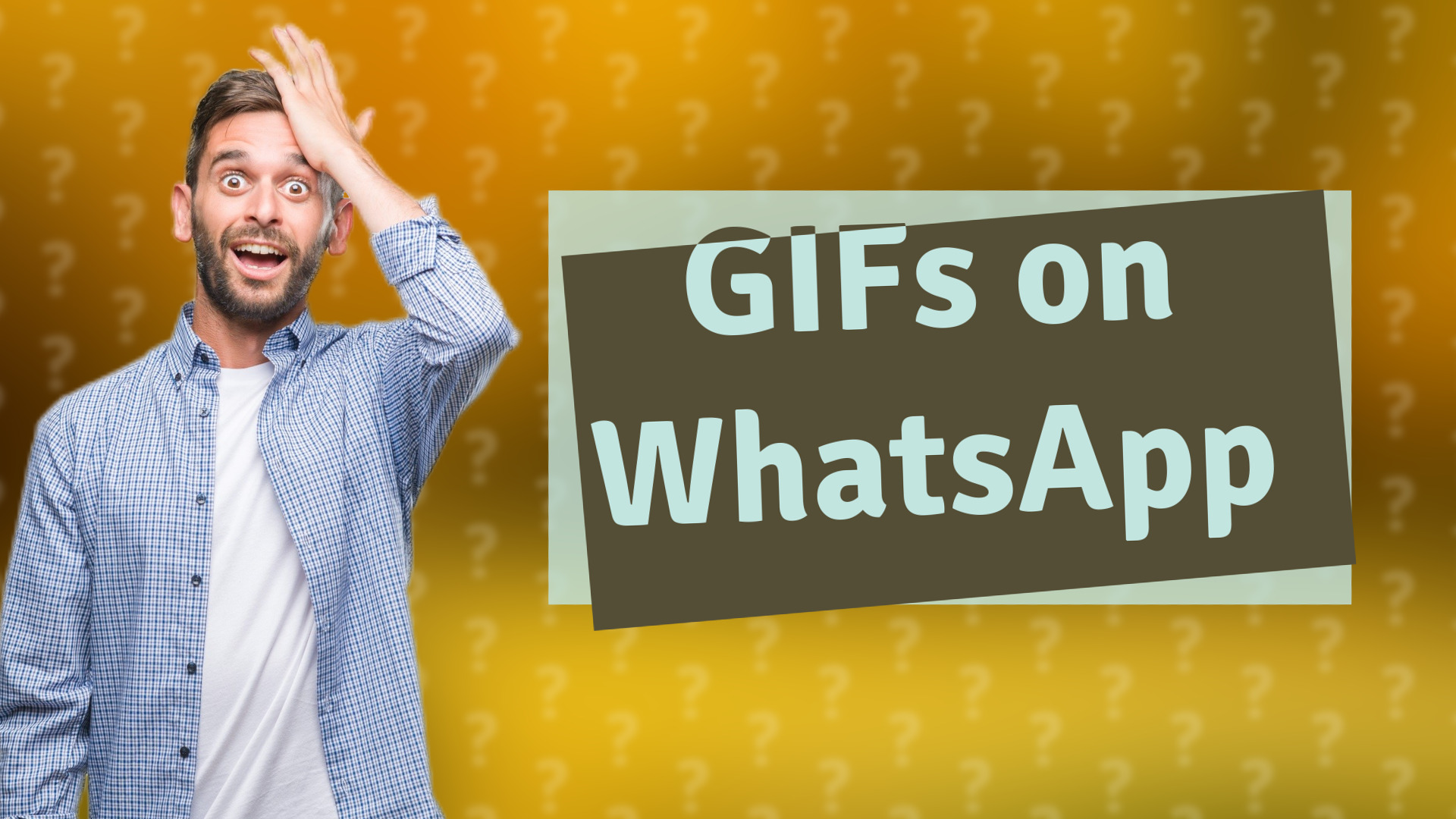 GIFs on WhatsApp