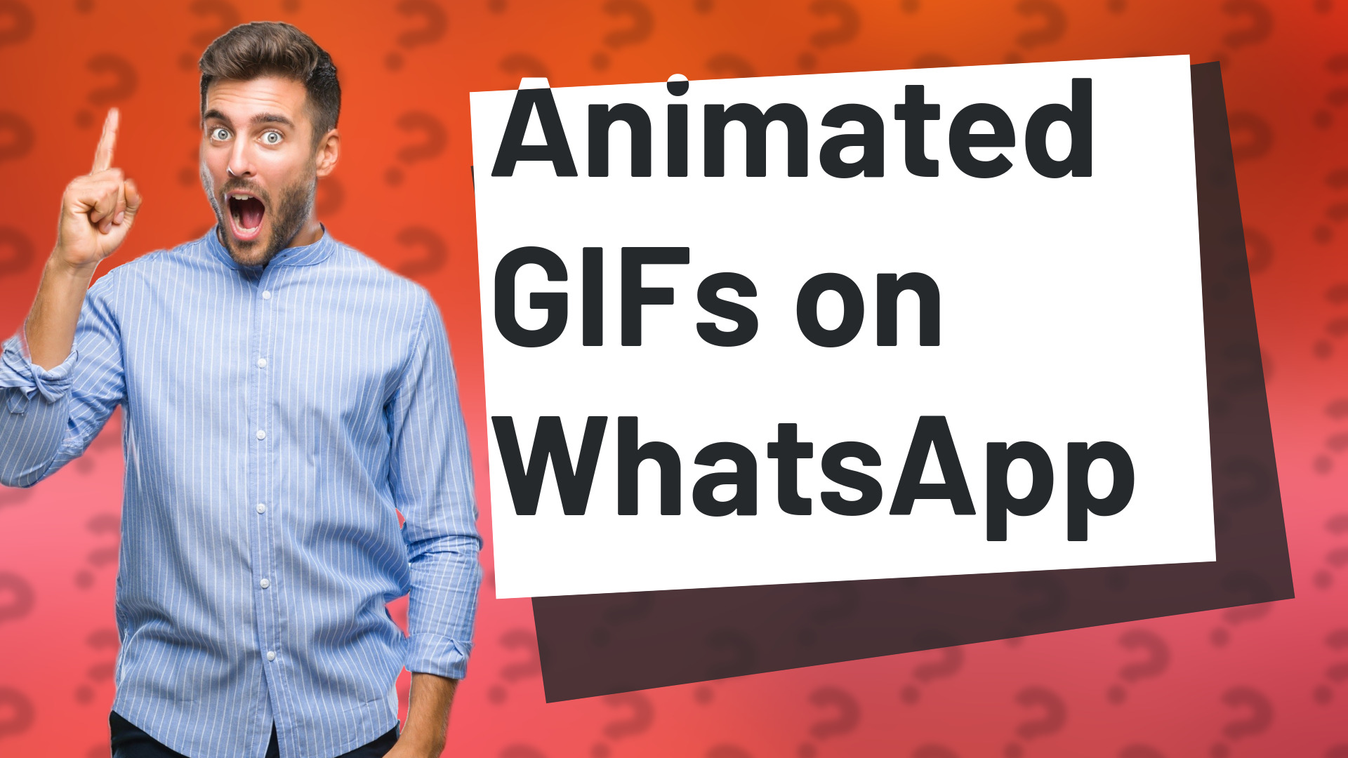 Animated GIFs on WhatsApp