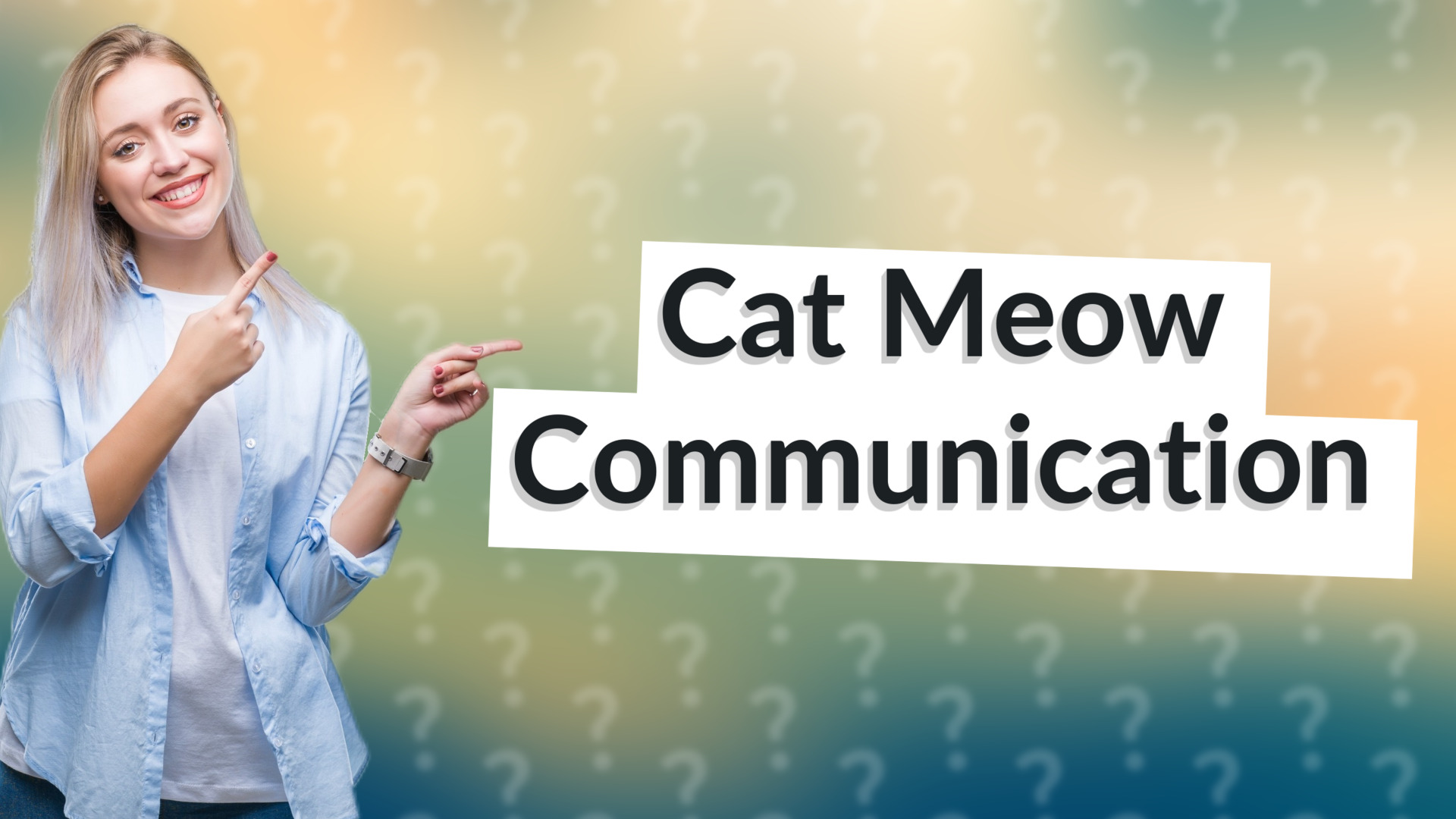 Cat Meow Communication