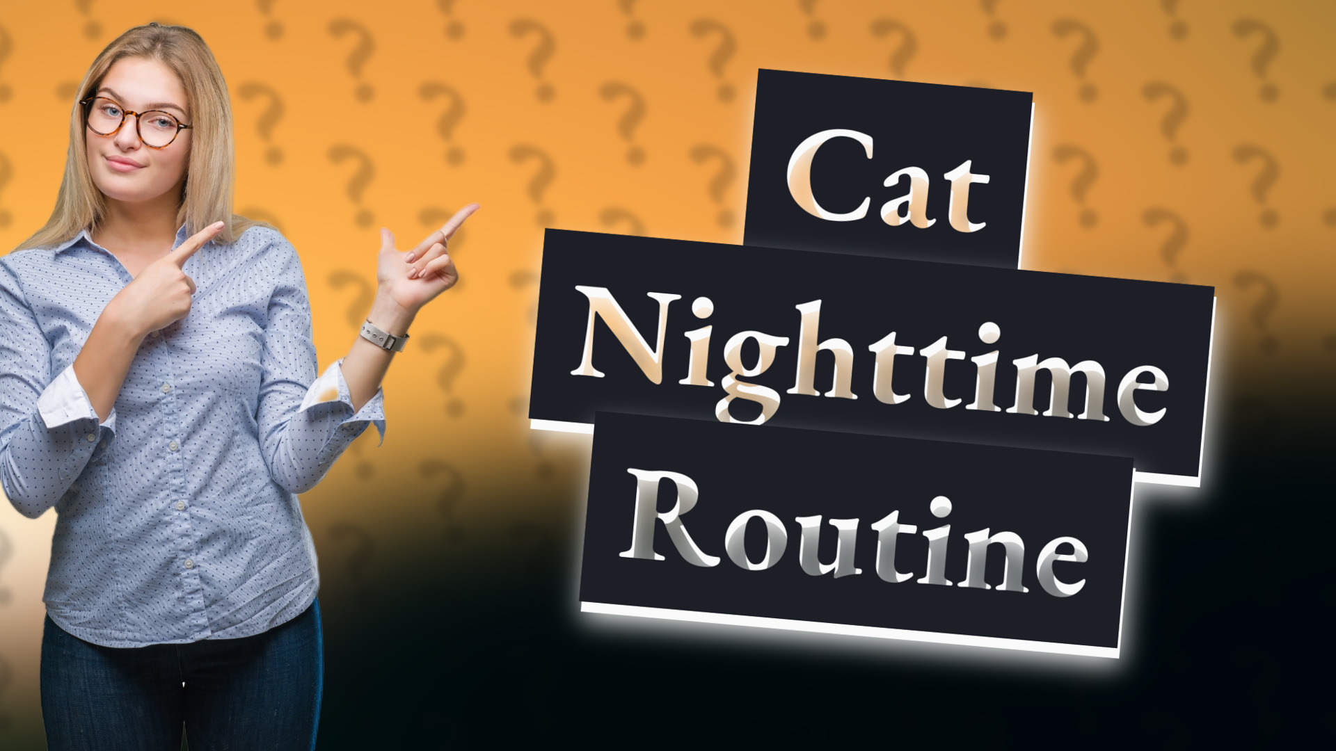 Cat Nighttime Routine
