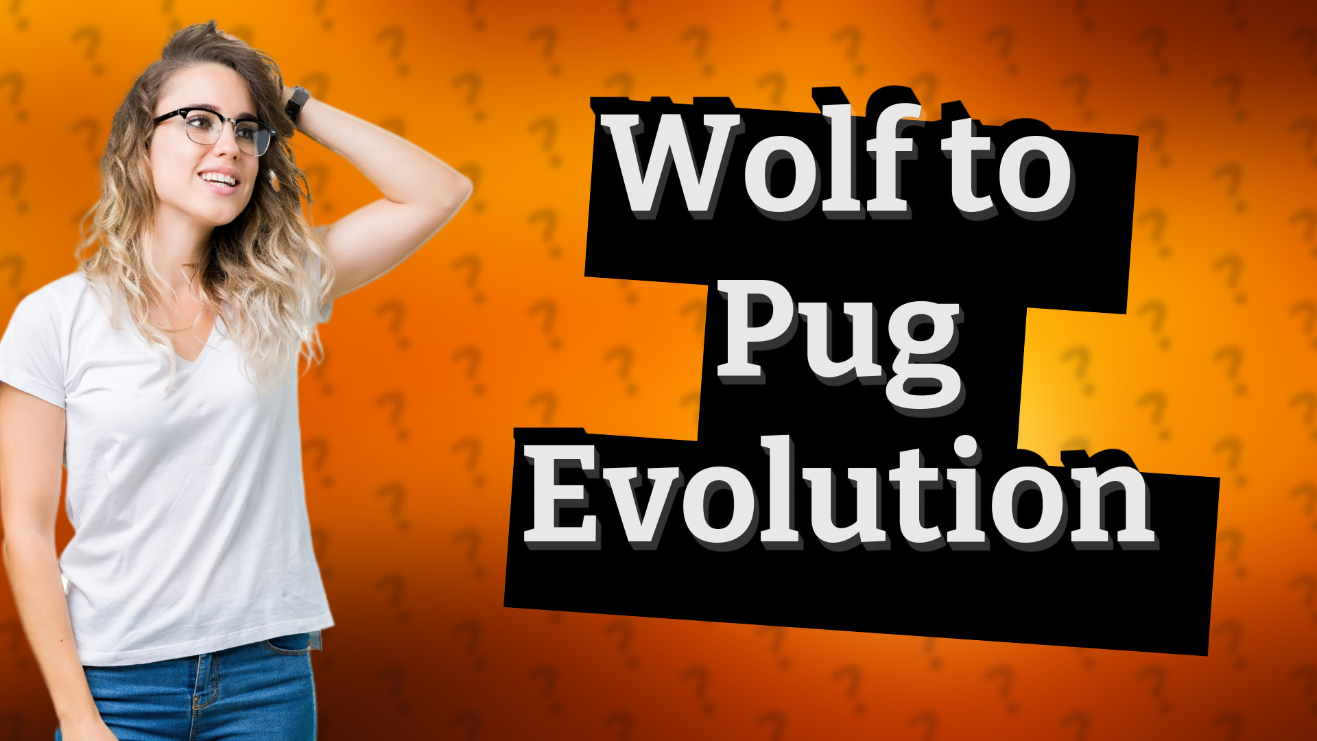 Wolf to Pug Evolution