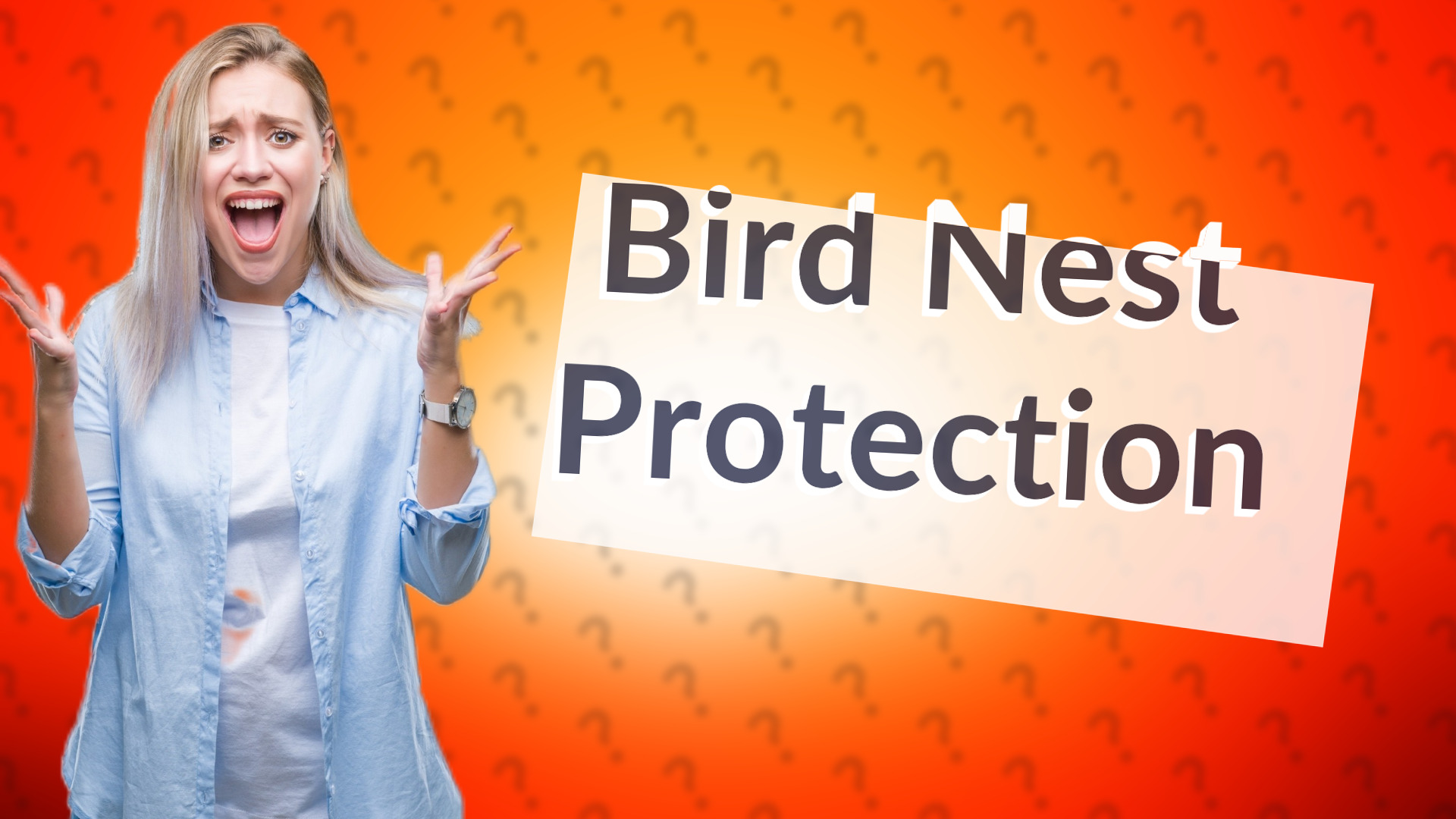 Bird Nest Protection