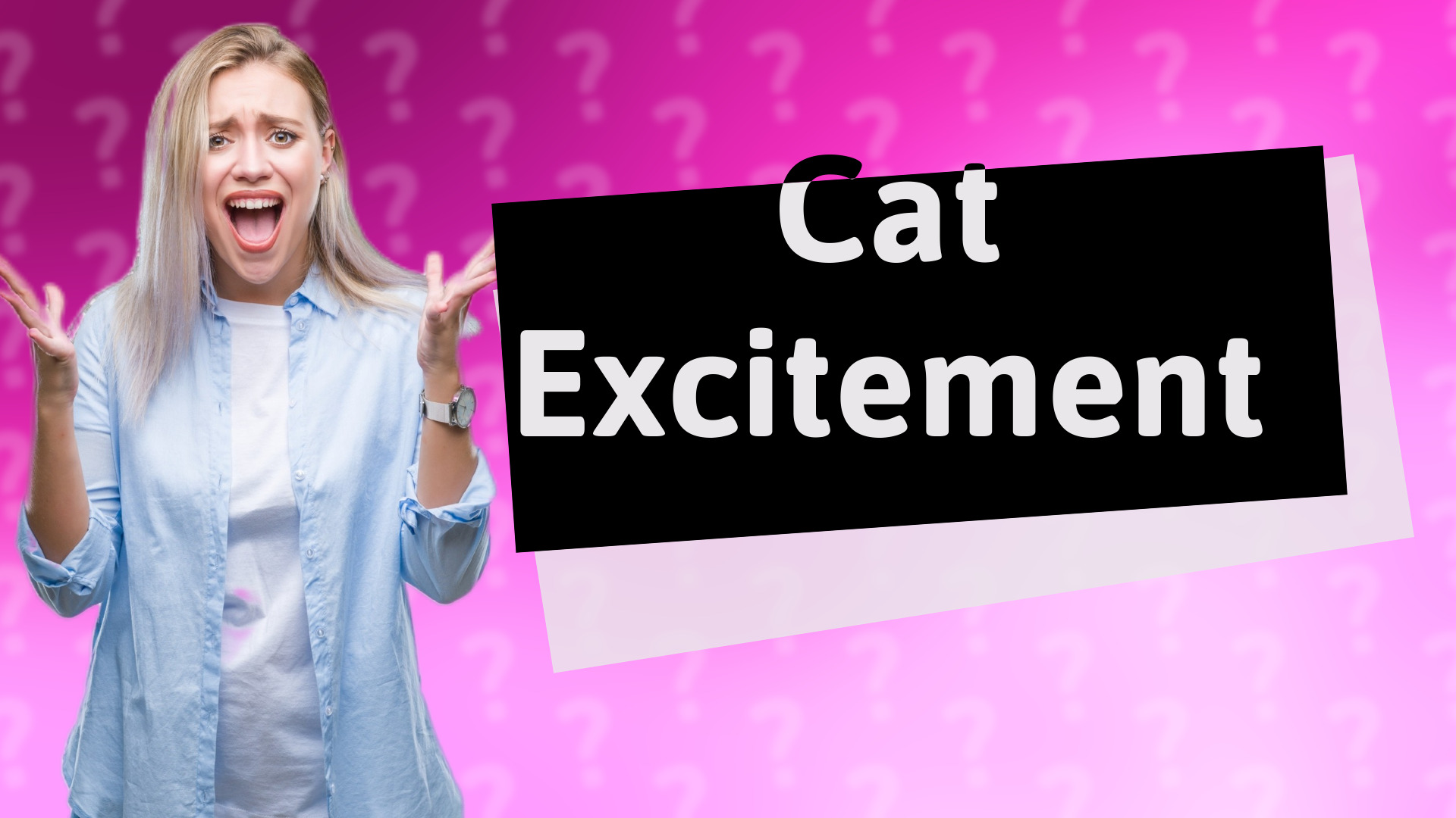 Cat Excitement
