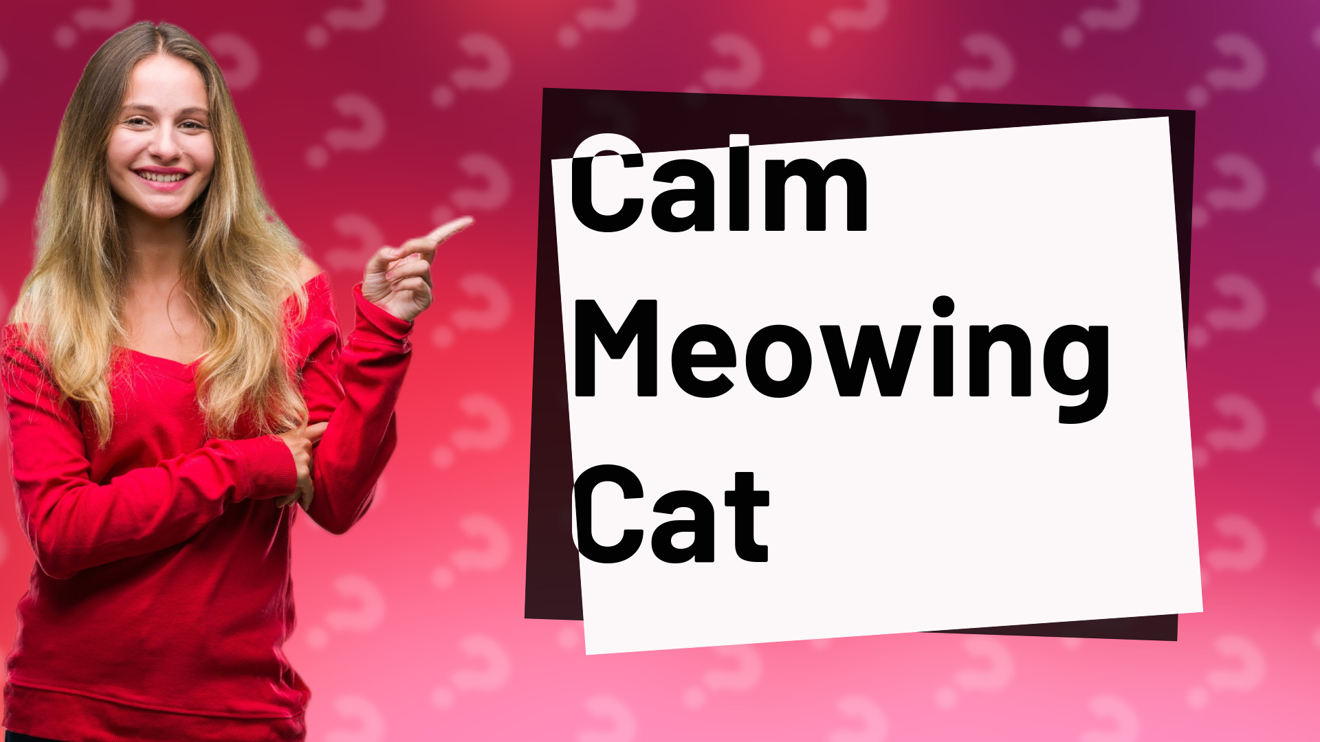 Calm Meowing Cat