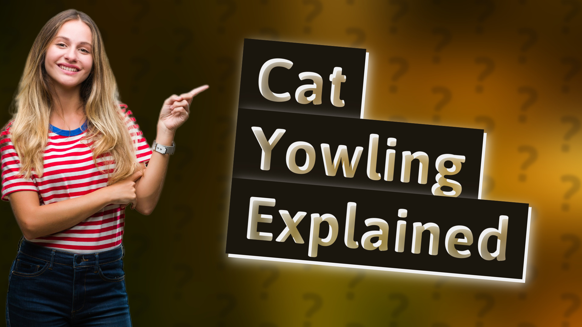 Cat Yowling Explained