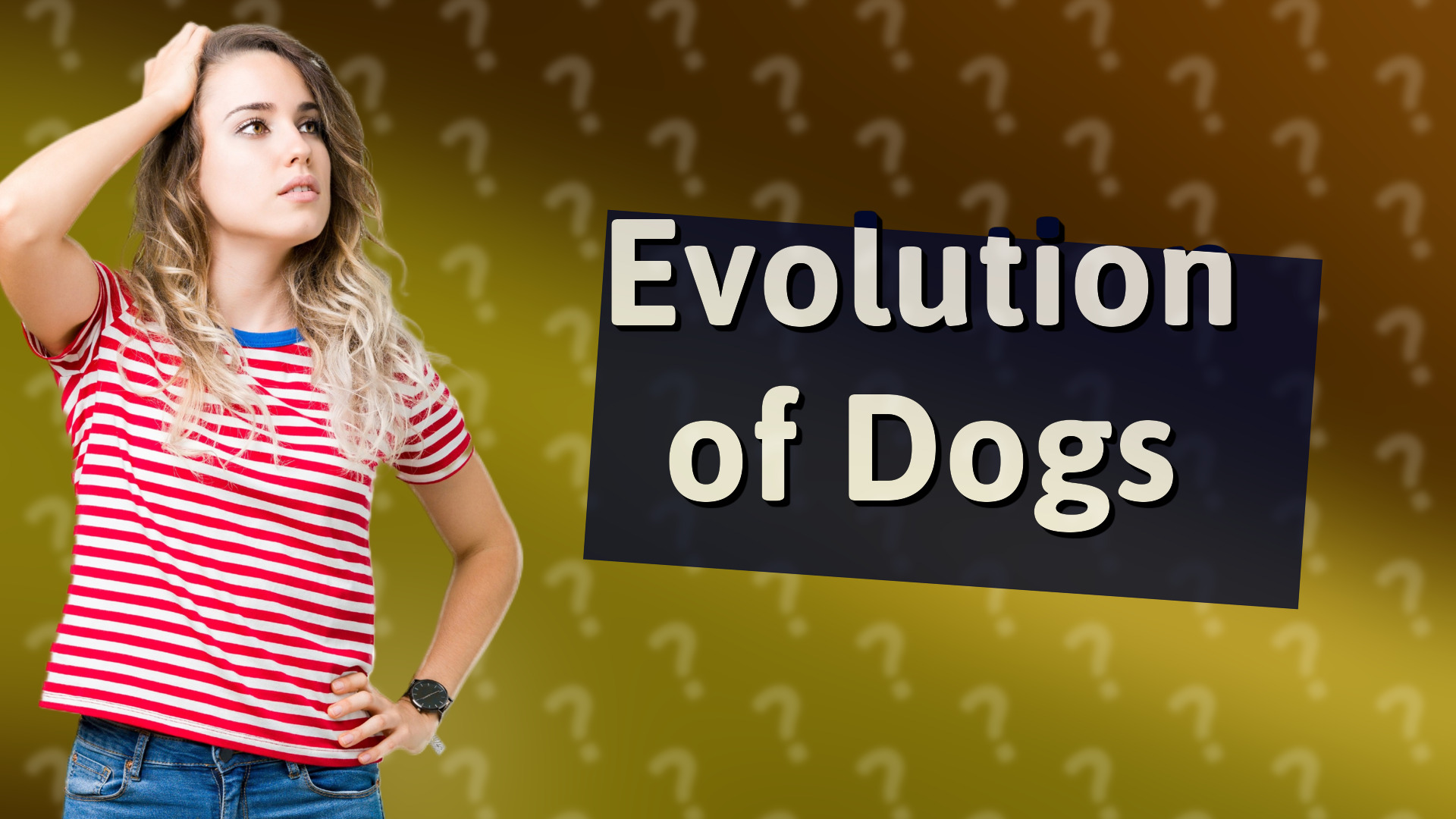 Evolution of Dogs