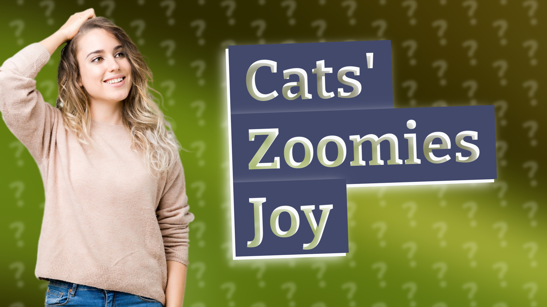 Cats' Zoomies Joy
