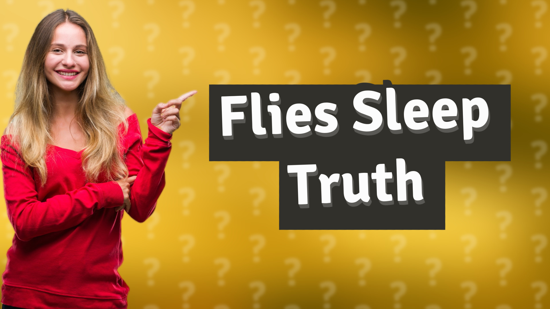 Flies Sleep Truth