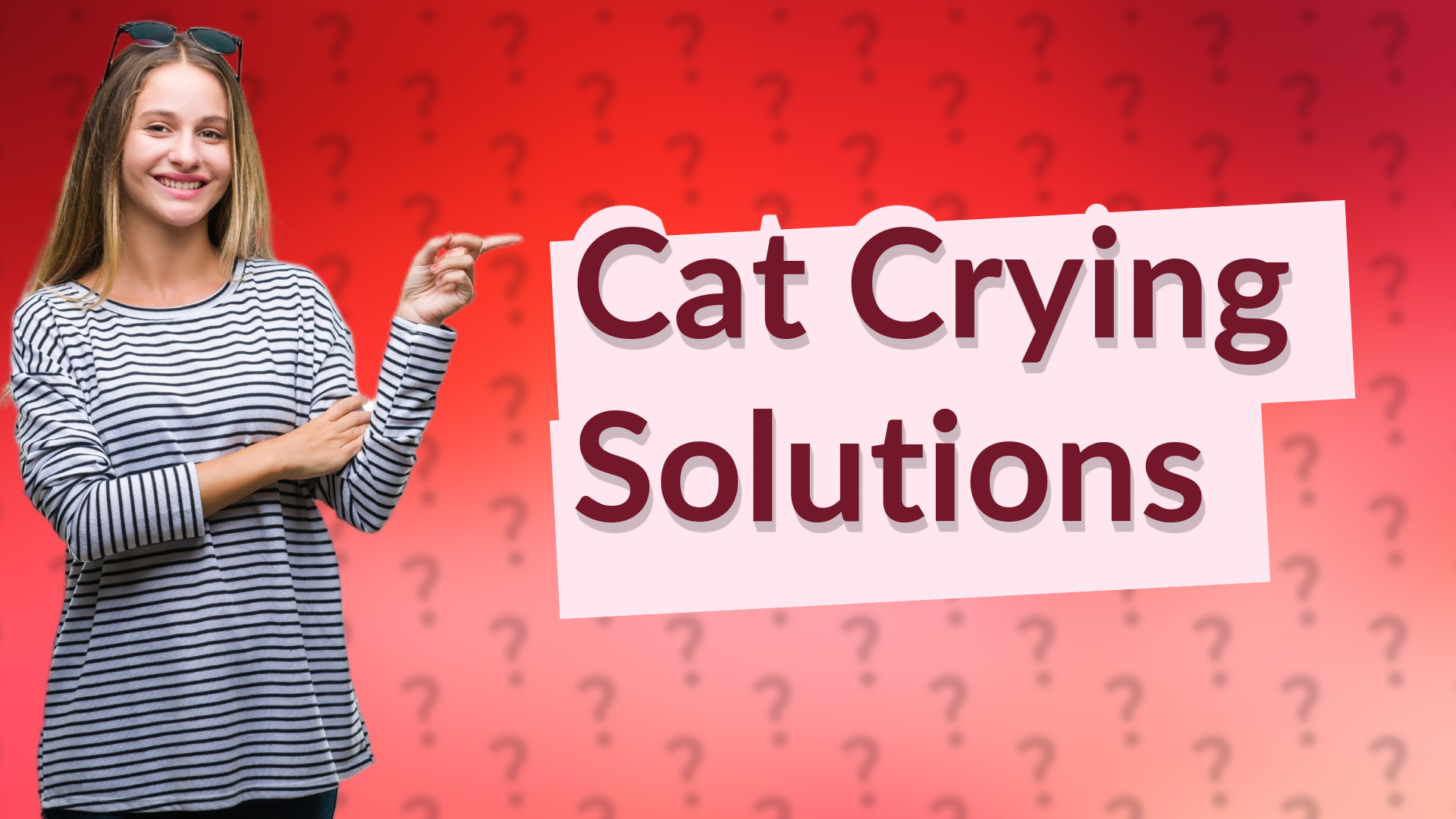 Cat Crying Solutions