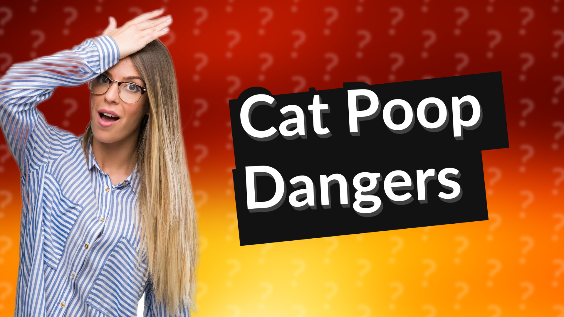 Cat Poop Dangers