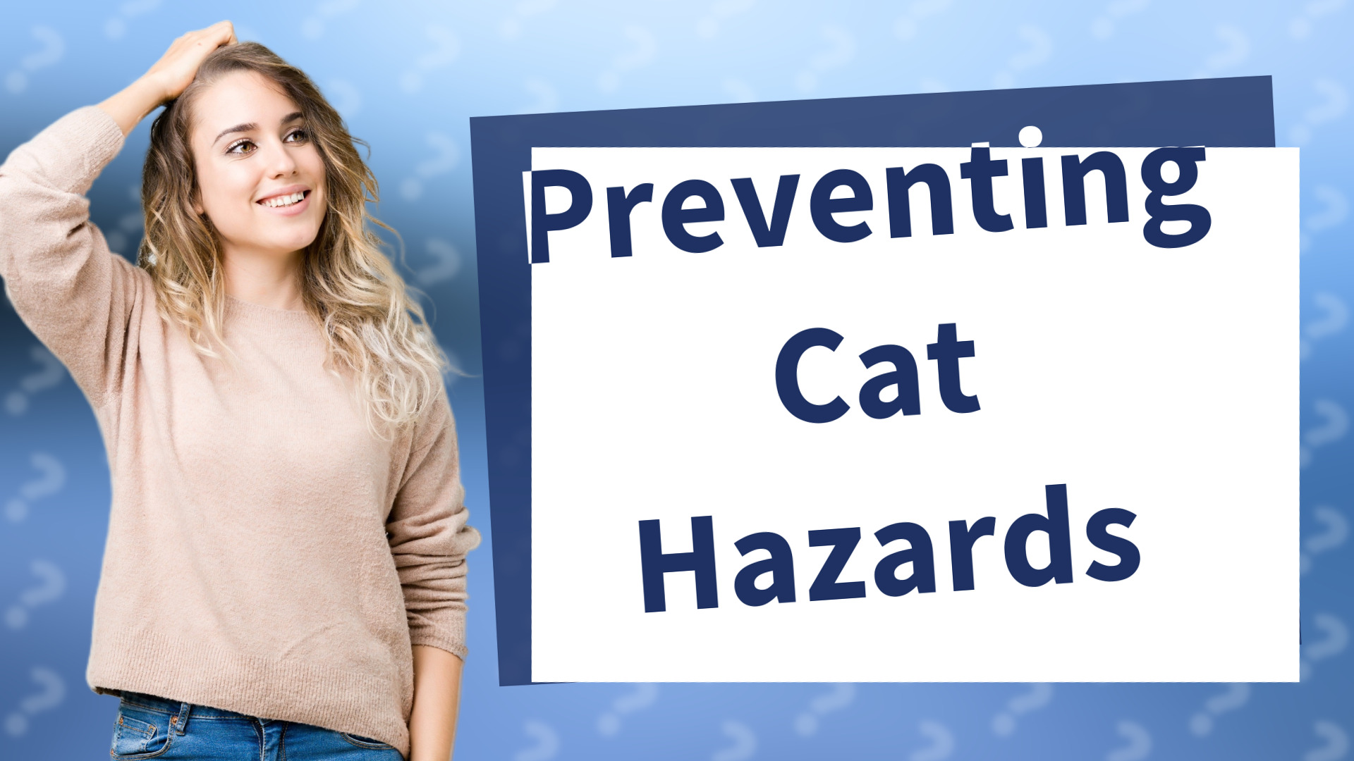 Preventing Cat Hazards