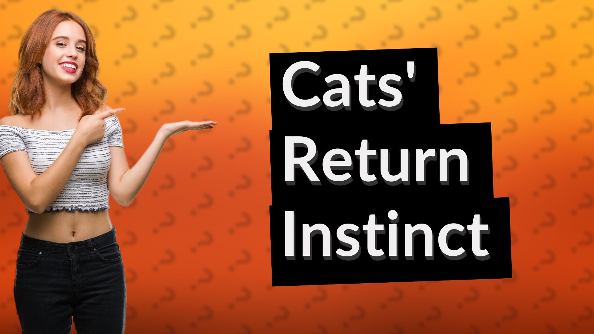 Cats' Return Instinct