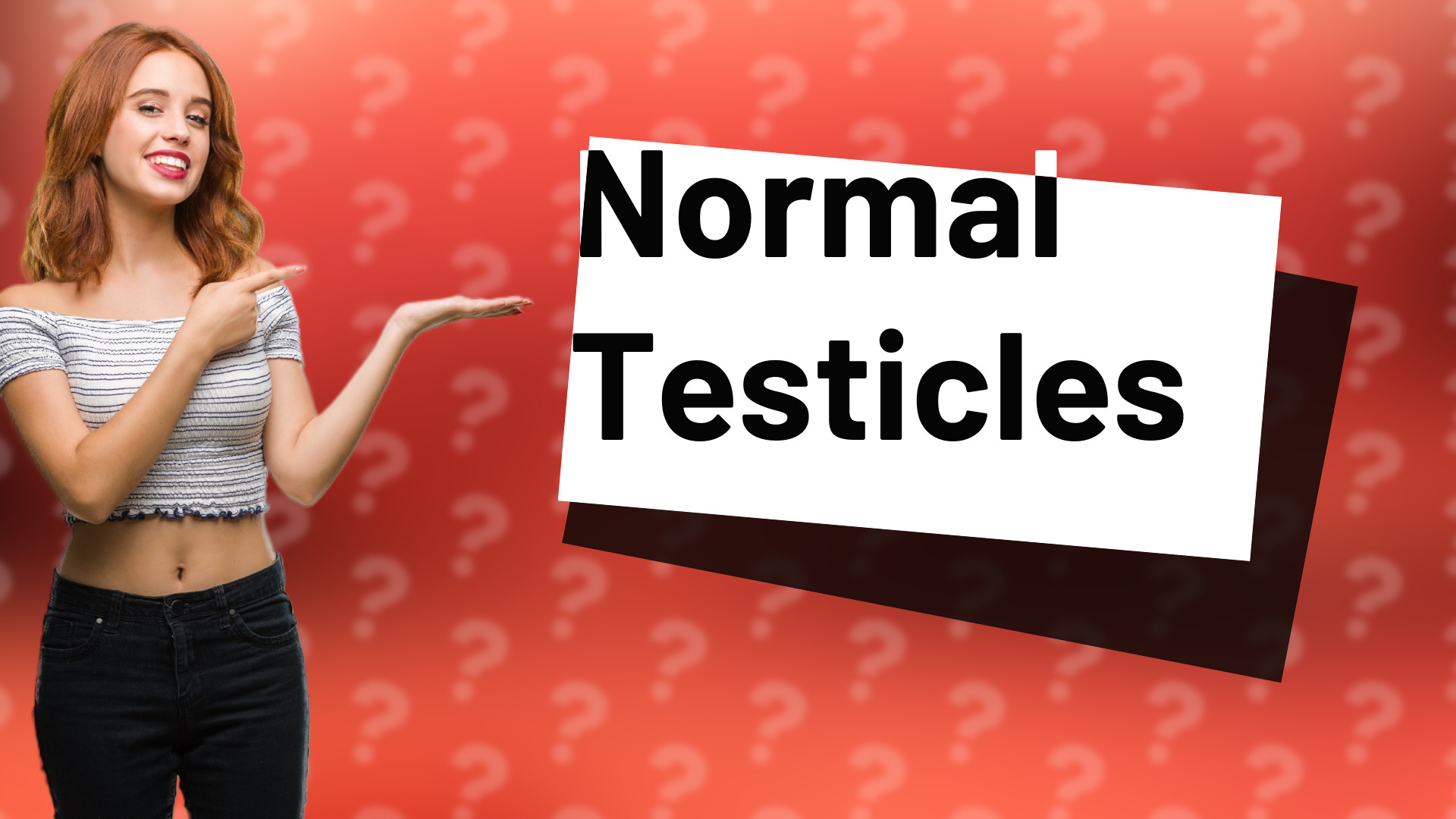 Normal Testicles