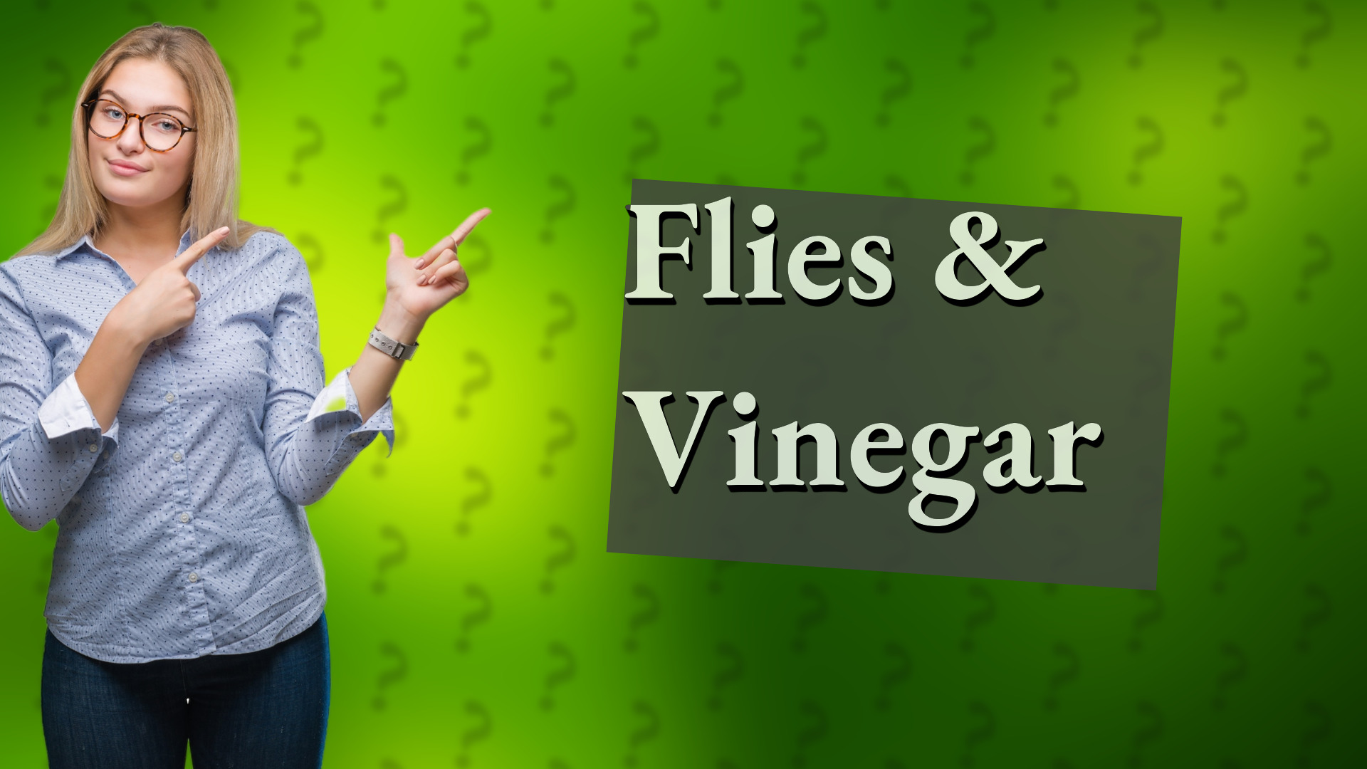 Flies & Vinegar