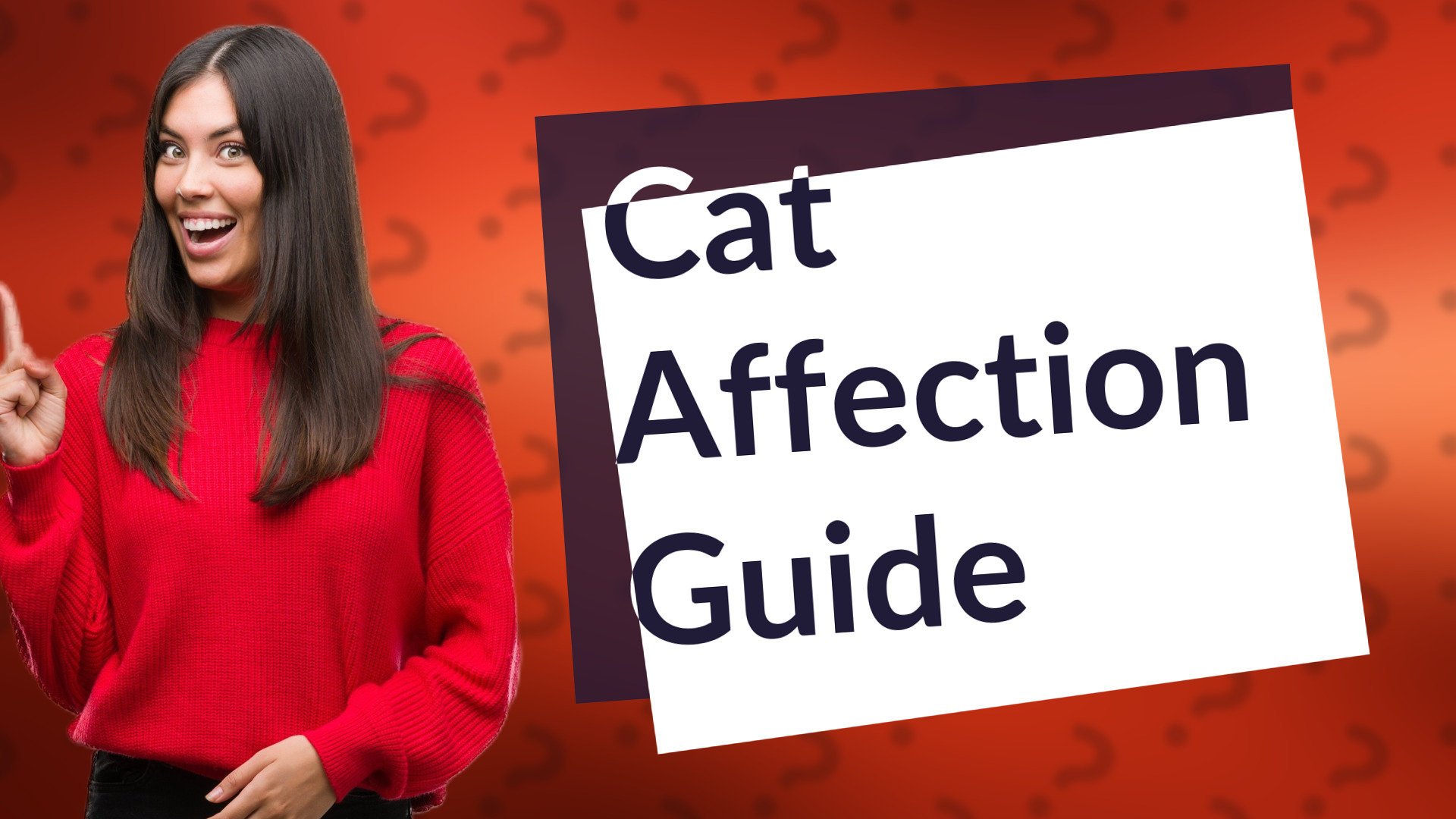 Cat Affection Guide