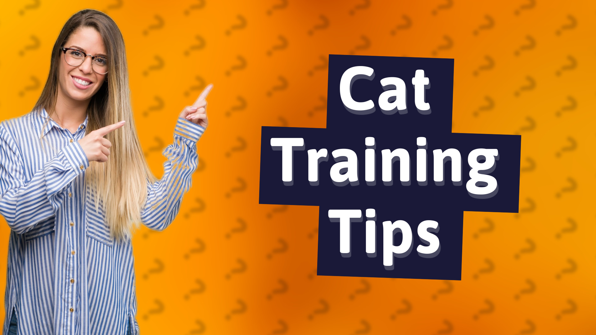 Cat Training Tips