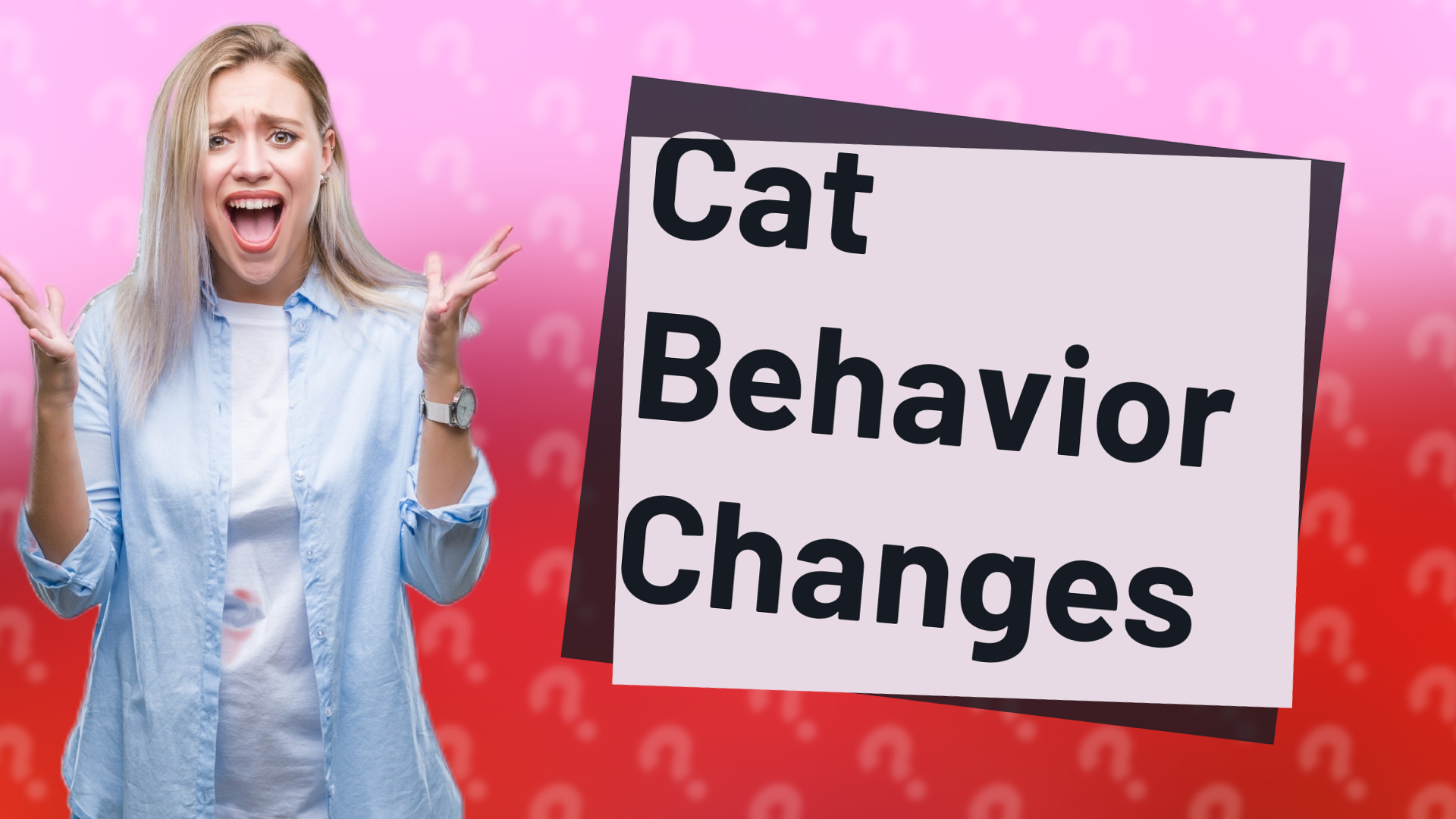 Cat Behavior Changes